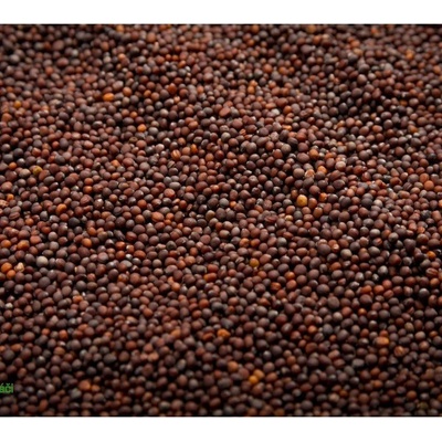Microgreens Brokolica Raab na mikrozelenine 100 g