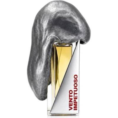 Filippo Sorcinelli Vento Impetuoso parfém unisex 50 ml