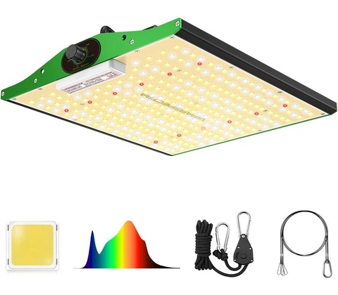 Viparspectra P1000