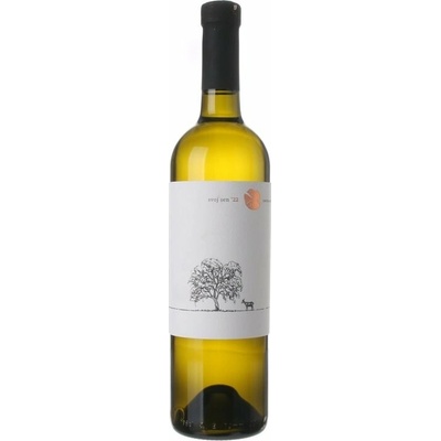 Chateau Rúbaň Svoj Sen 2022 13% 0,75 l (čistá fľaša)