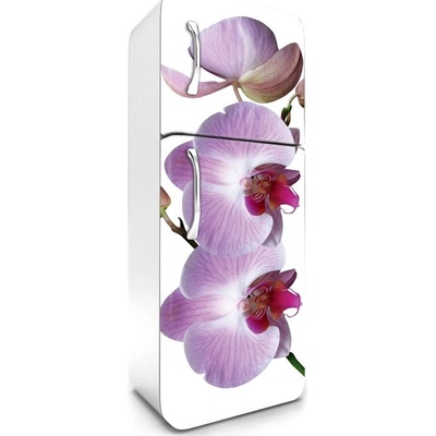 FR180-024 Fototapeta na lednici Orchid 65 x 180 cm