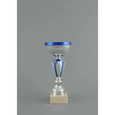 Sportovní stříbrno modrý pohár 18 31 cm 18 cm
