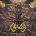 Refore - Illusion Of Existence (Splatter) (LP) (8594209080588)