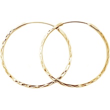 Beneto náušnice AGUC2439/SCS-GOLD