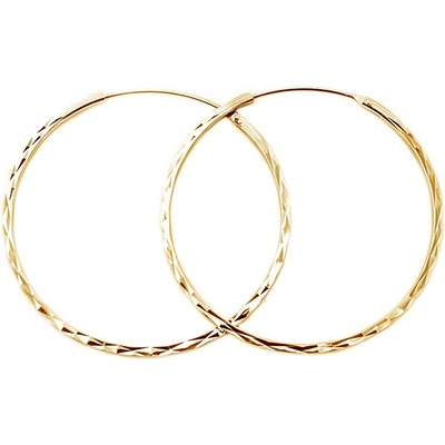 Beneto náušnice AGUC2439/SCS-GOLD