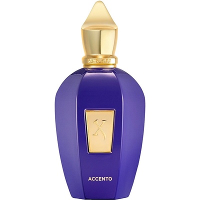 Xerjoff Accento Eau de Parfum parfumovaná voda unisex 100 ml