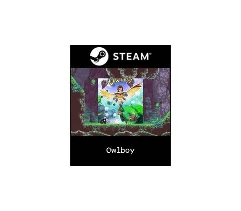 Owlboy