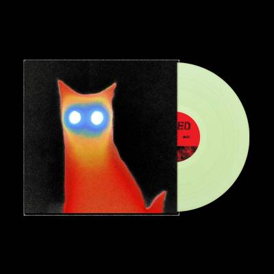 Basement - WIRED LP