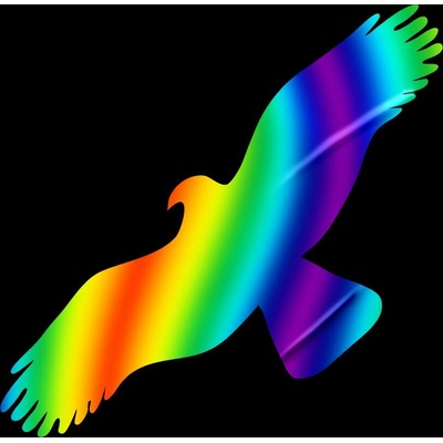 Traiva s.r.o Silueta dravce Direct rainbow proti narážení ptáků do oken z holografické fólie Varianty: Silueta dravce z holografické folie Fantasy rainbow (166 x 404 mm tl. 0,065 mm) - kód: 24602