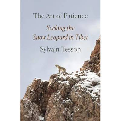The Art of Patience: Seeking the Snow Leopard in Tibet | Frank Wynne