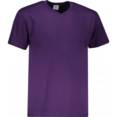 Stedman pánské tričko Classic-T V-neck Deep Berry