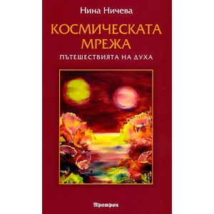 Космическата мрежа (2011)