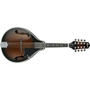 Ibanez M510