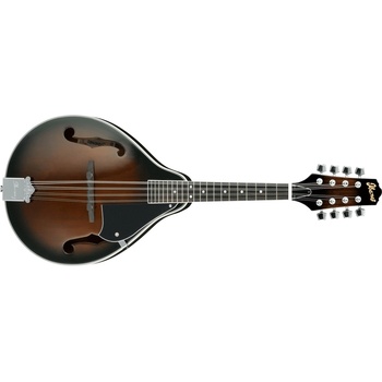 Ibanez M510