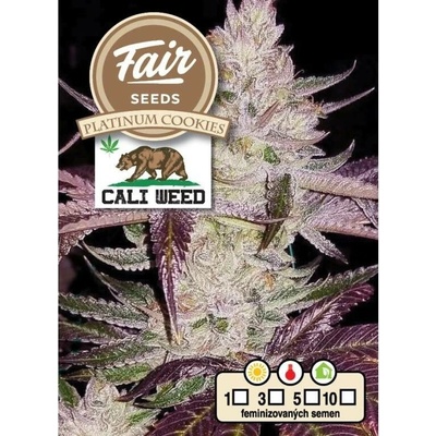 Fair Seeds Platinum Cookies semena neobsahují THC 10 ks