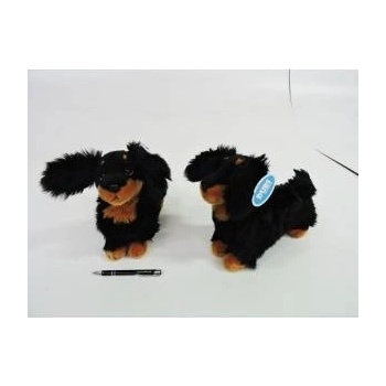 Dubi Dachshund standing 30cm