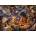 Ravensburger - Puzzle Lord of the Rings Frodo's Journey - 1 000 piese