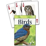 Adventure Pubns Birds of the Northeast Playing Cards | Stan Tekiela