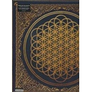 Bring Me The Horizon Sempiternal • VINYL