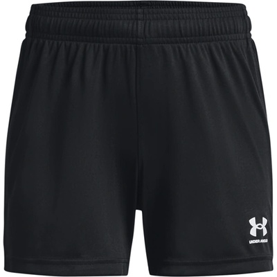 Under Armour КНИТ L