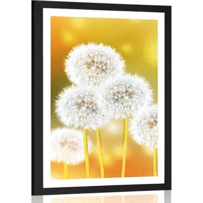 Plakát s paspartou nadýchaná pampeliška - 40x60 white