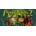 Psychonauts 2