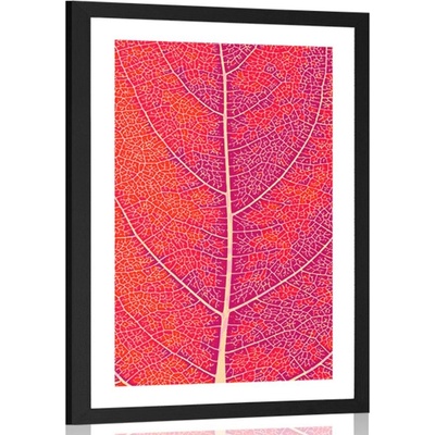 Plakát s paspartou struktura listu - 40x60 no frame