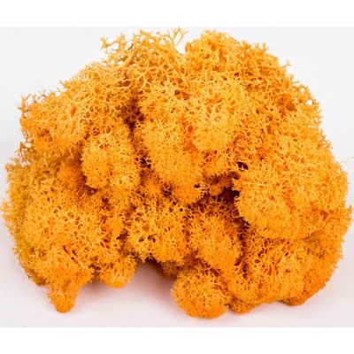 Islandský stabilizovaný, preparovaný mech 1Kg oranžová