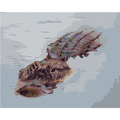 ZUTY Malování podle čísel ALIGÁTOR PLOVOUCÍ VE VODĚ D. RUSTY RUST 40 x 50 cm Rámování vypnuté plátno na rám