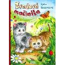 Zvedavé mačiatka