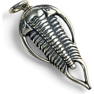 Drakkaria TRILOBIT amulet stříbrný přívěšek P4184