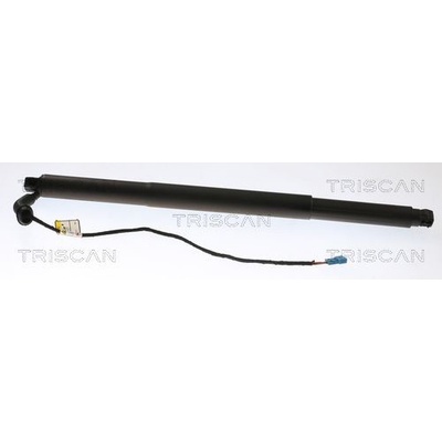 Pneumatická pružina kufor/úložný priestor TRISCAN 8710 11312