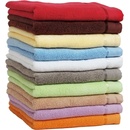 Jerry Fabrics uterák Color 50x100 cm světle modrý