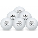 Sedco for TRAINING 1 6ks