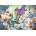 Ravensburger - Puzzle Hummingbirds and butterflies 300 - 300 piese