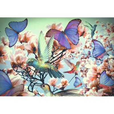 Ravensburger - Puzzle Hummingbirds and butterflies 300 - 300 piese