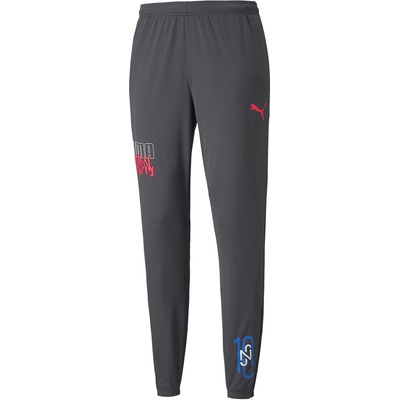 Puma Neymar Jr Futbal training Pant 605600 07 sivá