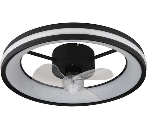 Globo 03651