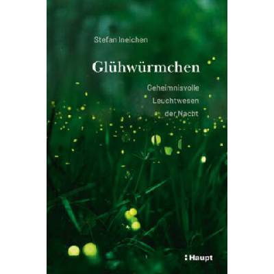 Glühwürmchen