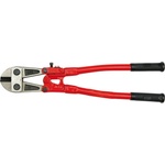 TOYA VOREL 49600
