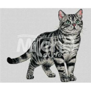 Milena Style Американска късокосместа котка - гоблен със схема конци dmc 1: 4