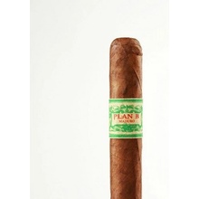 Plan B by Oscar Maduro Toro