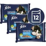FELIX Капсули FELIX Fantastic с сьомга и платика в желе 12 x 85 г