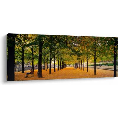 Obraz aleje podzimních stromů, jednodílný 145x58 cm