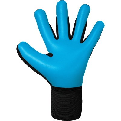 Reusch Attrakt Freegel Aqua Goalkeeper Gloves
