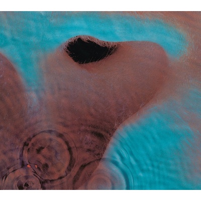 Meddle - Pink Floyd LP