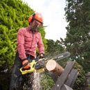 Image 1 of RYOBI RCS1935B (5133004338)