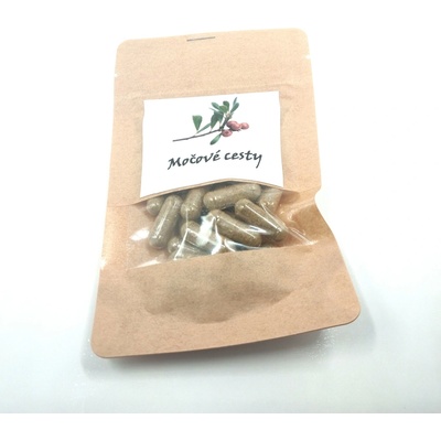 ERBOZETA Recyflor kúra pro močové cesty 7x8ml