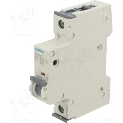 Siemens 5SY6102-7
