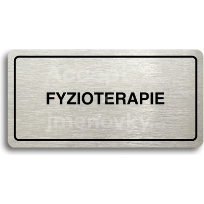 ACCEPT Piktogram FYZIOTERAPIE - stříbrná tabulka - černý tisk